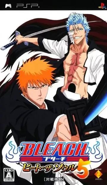 Bleach &ndash; Heat The Soul 5 PSP